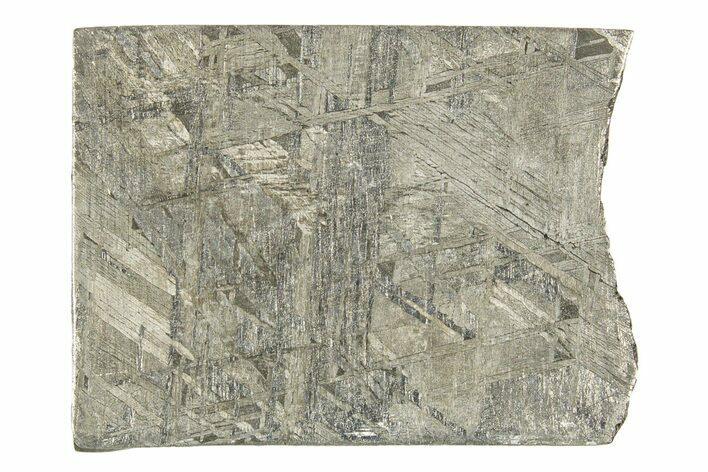 Etched Gibeon Iron Meteorite ( g) Slice - Namibia #334672